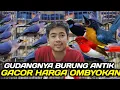Lagu CEK HARGA TLEDEKAN GUNUNG JAWA, SEPAH RAJA EKR MERAH, KONIN NATUNA, BLACKSUNBIRD, DLL DIKIOS PRAMUKA