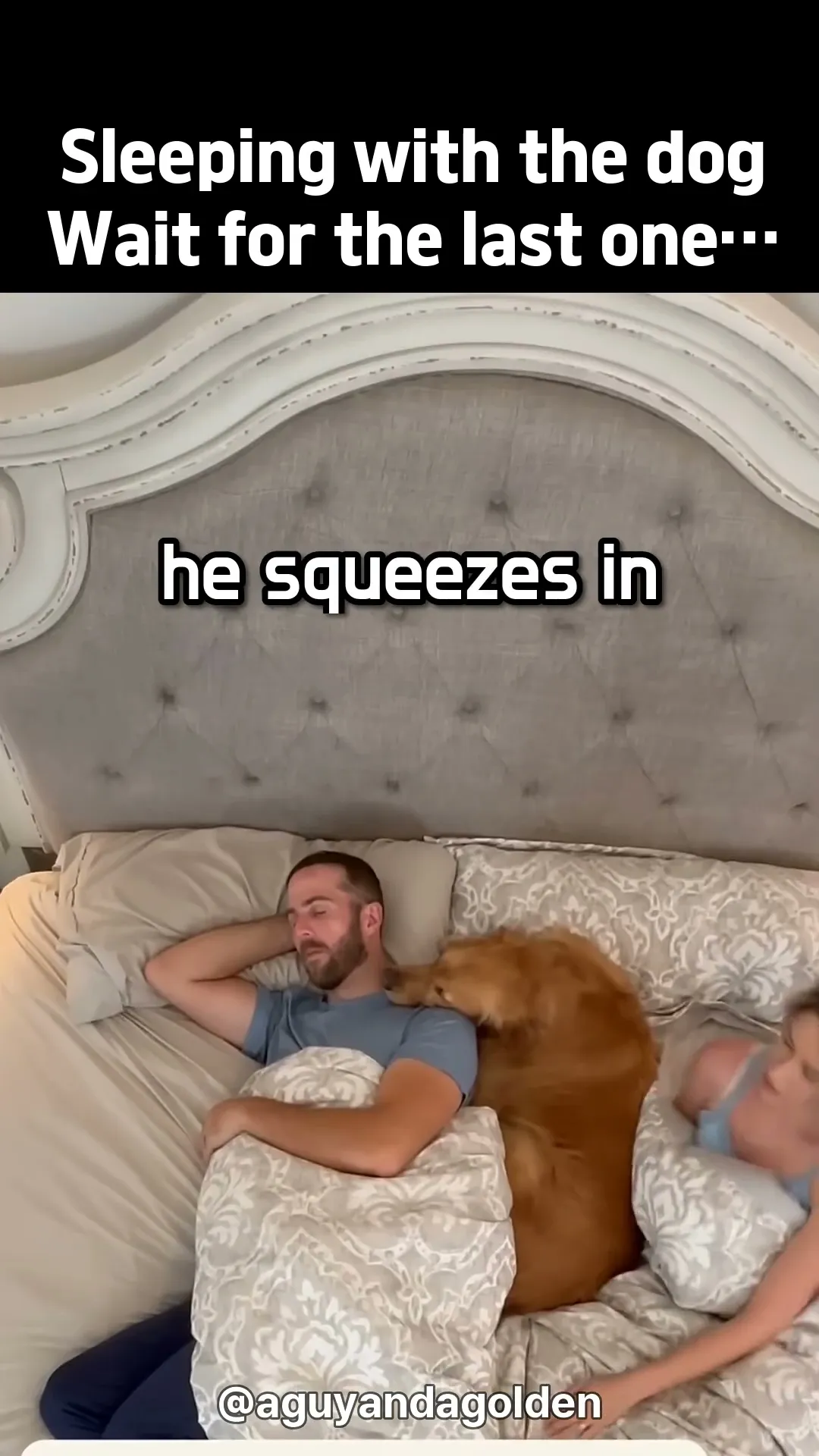 Sleeping with the dog… wait for the last one #shorts