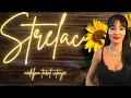 Download Lagu STRELAC Jaooo, sta je ovo Strelcevi?!🤣🙃🔥💍💰🥂🎯 22.-28.9. Nedeljno tarot citanje