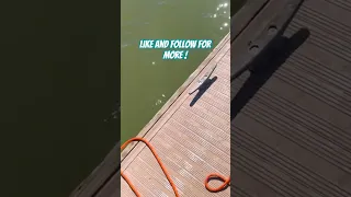 How Many Are Down There 