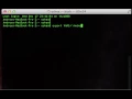 export command in BASH enviroment variable