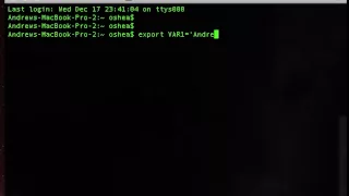 export command in BASH enviroment variable