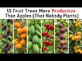 13 Fruit Trees More Productive Than Apple That Nobody Plants