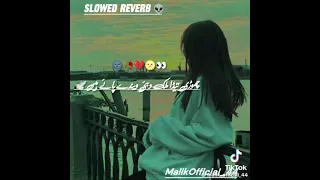 پر سوں دی ٹکٹ کرئ وند پے ہے چوڑی تیڈا ملک دبئی ویدے پے ہیں ارشاد سنجرانی سونگ نیو Pakistan 