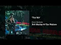 Try Me - Bob Marley