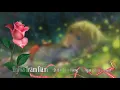 Download Lagu Nghĩa Trăm Năm - PN // Hà Ngân ( 96 )