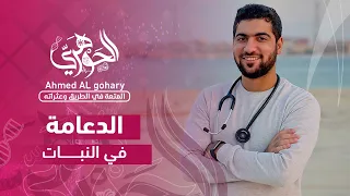 ٢ الدعامة في النبات أحياء ثانويةعامة 