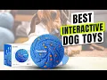 3 BEST Interactive Dog Toys