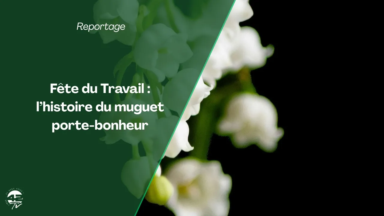 ⁣Pourquoi offre-t-on du muguet le 1er mai ?