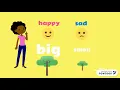 Synonyms and Antonyms Lesson