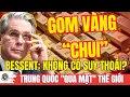 Lagu GOM VÀNG \