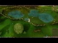 Runescape Money Making Guide 8 250k - Swamp Toads Without swap