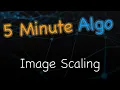 Learn in 5 Minutes Image Scaling Nearest Neighbor Bilinear
