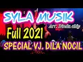 Download Lagu SPECIAL DILA NOCIL Syla Musik | NEW REMIX LAMPUNG TERBARU 2021 #SylaMusikterbaru