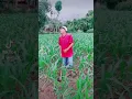 Download Lagu Air Mata Tiada Arti