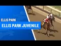 2025 200 000 Ellis Park Juvenile at Ellis Park