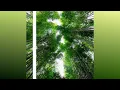 The Other Side | (Melodic, Trance and Progressive House Mix)