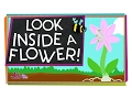 Look Inside a Flower Science Project for Kids