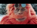 The Argos Christmas Yetis TV Advert
