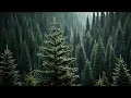 Download Lagu ebiet g. ade: senandung pucuk-pucuk pinus (dengan lirik)