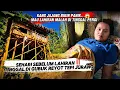 Download Lagu BIKIN PANIK‼️Istri Mau Lahiran Kang Jajang Malah Pergi⁉️Nikah Beda Usia Tinggal Di Tengah Hutan