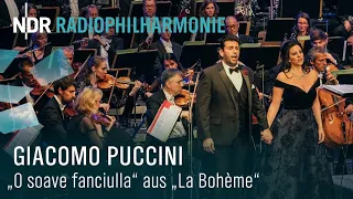 puccini 