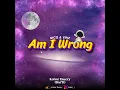 Download Lagu Nico \u0026 Vinz - Am I Wrong [Kobar Emery] BreakBeat