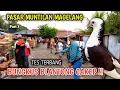 Download Lagu HUNTING MERPATi GIRINGAN DIPASAR MEKAR MUNTILAN MAGELANG ADA YANG CAKEP BUNGKUS LAGI PART 1