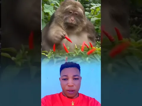 Wait for the end ✌️😂