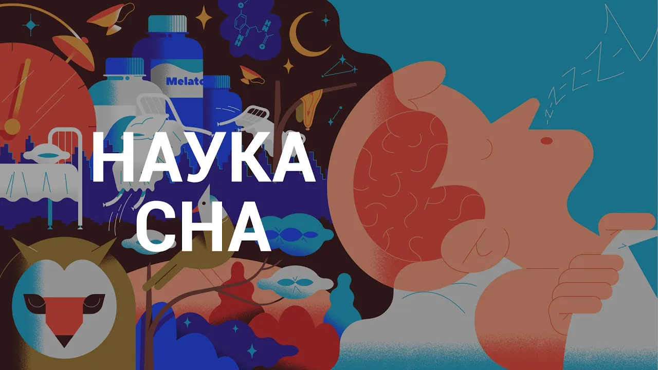 Наука сна — курс Михаила Полуэктова / ПостНаука