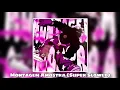 Lagu MONTAGEM AMOSTRA (Super Slowed)