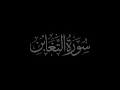 Download Lagu Surah At-Taghabun 64 recited by Muhammad Siddeeq al Minshawi Mujawwad