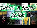 Lagu My Favorite Metal Albums from 2025