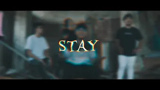stay msg official music video 