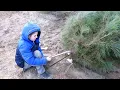 Andrew Finished Cutting Christmas Tree