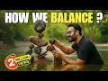 Centre of Gravity Explained