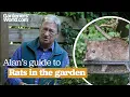 How to get rid of RATS IN THE GARDEN Alan s guide