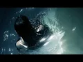 songs for sirens - a playlist