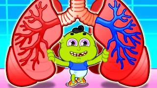 Lion Family | How the Body Works Healthy Habits for Kids | Cartoon for Kids