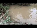 Download Lagu “UNCLOGGING BEAVER DAM FROM CULVERT DISCHARGE AFTER RAINSTORM”