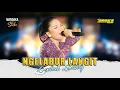 Download Lagu NGELABUR LANGIT GENDUK SHANTY || NIRMALA REBORN