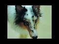 Yolanda Moon - Light Of Day pt.1 (Lyric Visualizer)