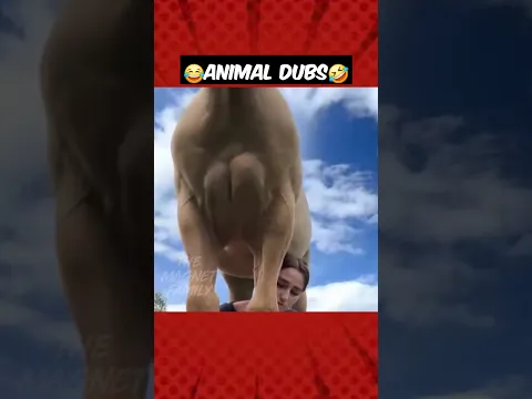 மின்னல் தெறிக்கும் பின்னங்கால் மசுலு‼️😭😂 #magnetbytes #funnydub #animalfunny #Horse #bodybuilding