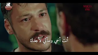                                      كوبيلاي آكا   قلبت  صيفي شتاء    أغنية مسلسل قصر المرجان مترجمة دندنها