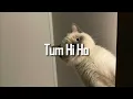 tum hi ho (sped up)