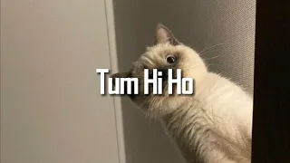 Tum Hi Ho Sped Up 