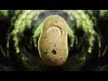 The Potato Paradox