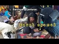 Download Lagu penonton cewek ngamuk barongan sapi‼️ janturan ngesti setya budaya🇲🇨ebeg silangit