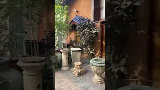 Courtyard Garden Relaxation Escape 