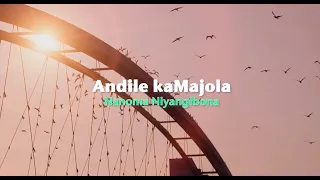 andile kamajola nanoma niyangibona official lyric video 